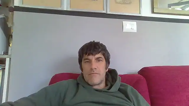 Markbull