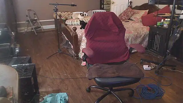 Ireallysquirt