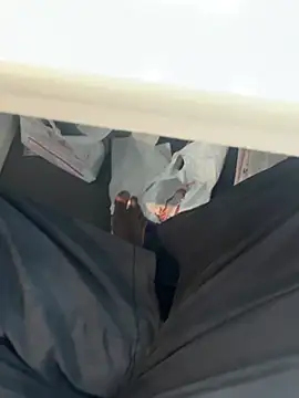 dick69lil