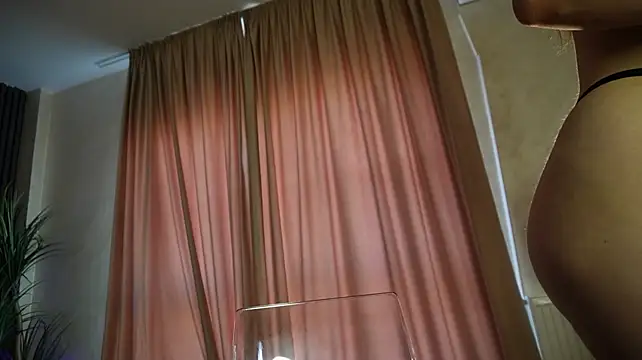 AryaGold webcam
