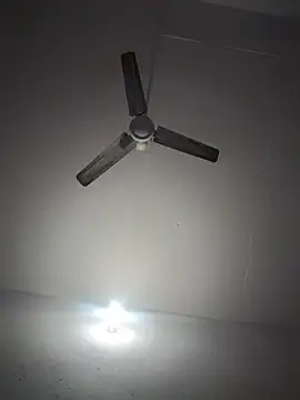 cute_radhikaa