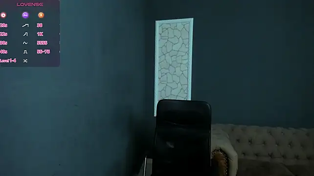 BrianHunts live cam preview