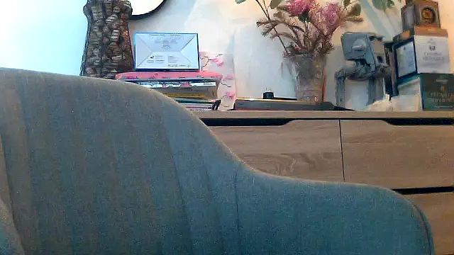 lpnt134366 webcam