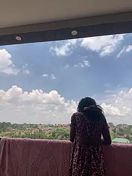 Sis27
