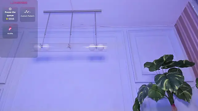 Dantzel_