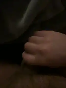 caimanliz