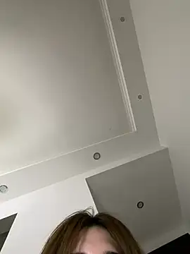 KK-328 webcam