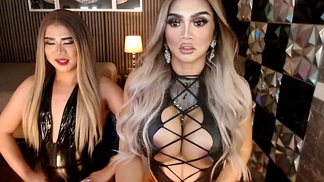 PrettyHorseCockTrans