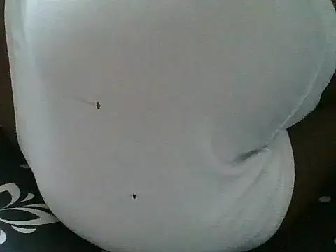 maggiedol