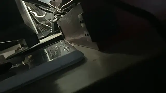 flexingplexico