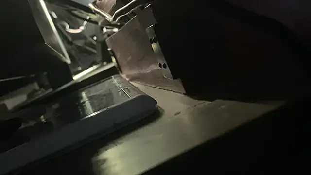 flexingplexico