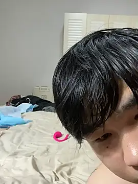 biaomei520 webcam