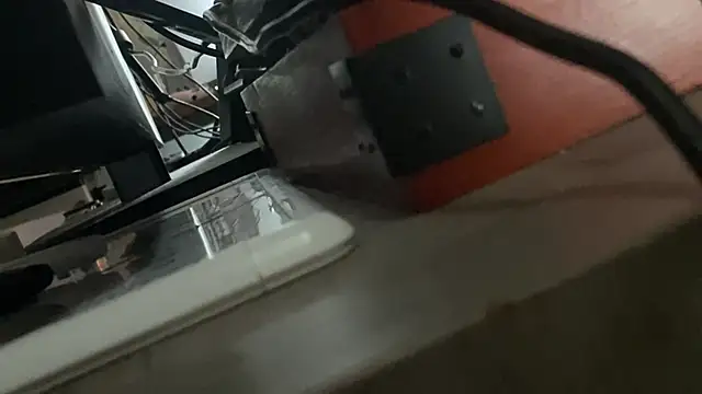 flexingplexico