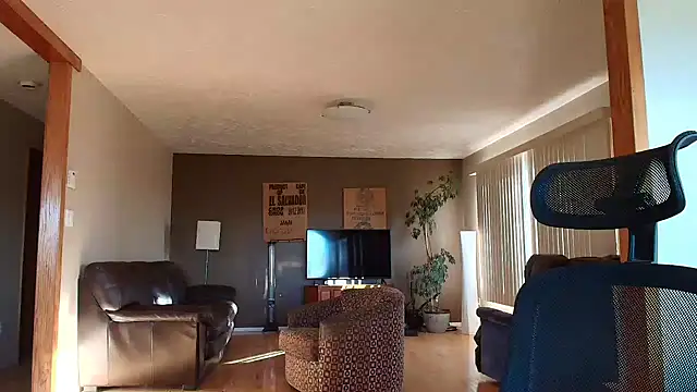 BasicAnt webcam