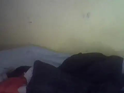cute-shamza live cam on StripChat
