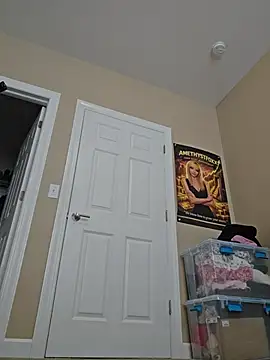 AmethystFoxx
