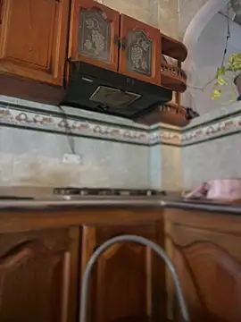 NovaFoxx