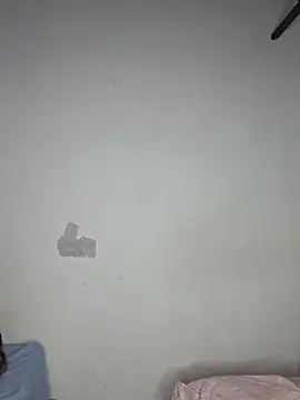 Gree_Fox
