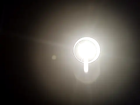 Miquelp123 live sex cam