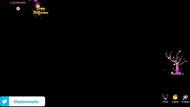 080606sh