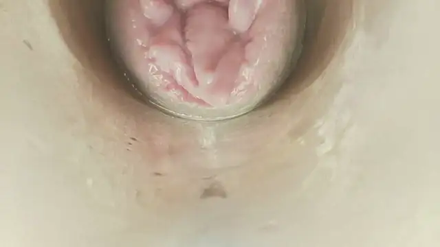 karol_stom