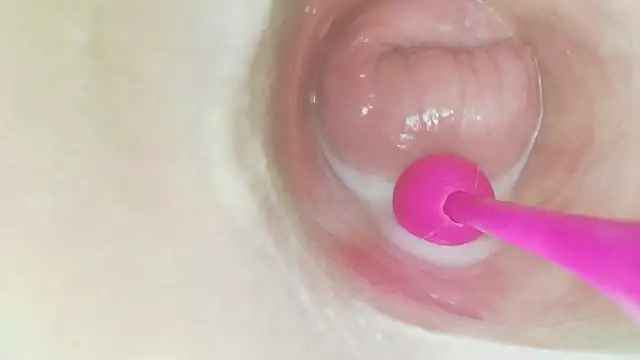 karol_stom