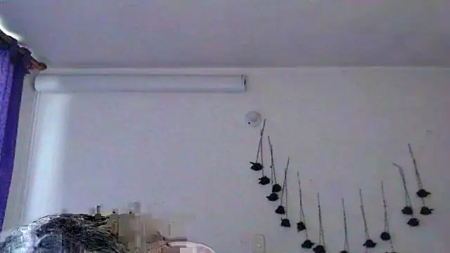SLOPPYTITSS live cam preview