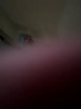 NiftyCaptain3