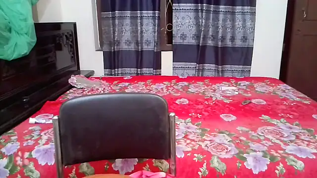 Anaya-7 live cam on StripChat