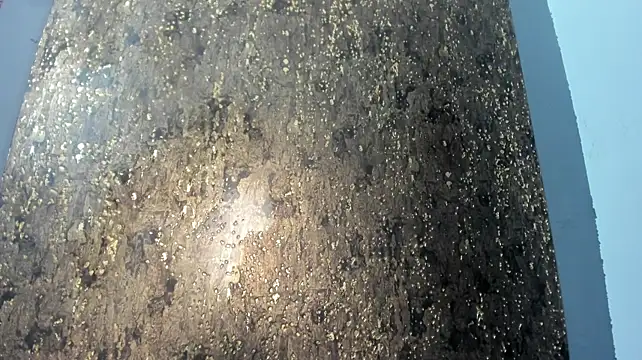 AntonellaRoox