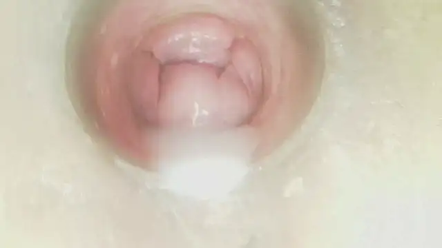 karol_stom
