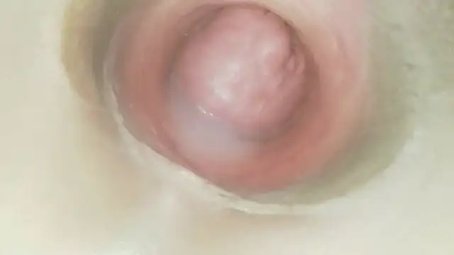 karol_stom live sex cam