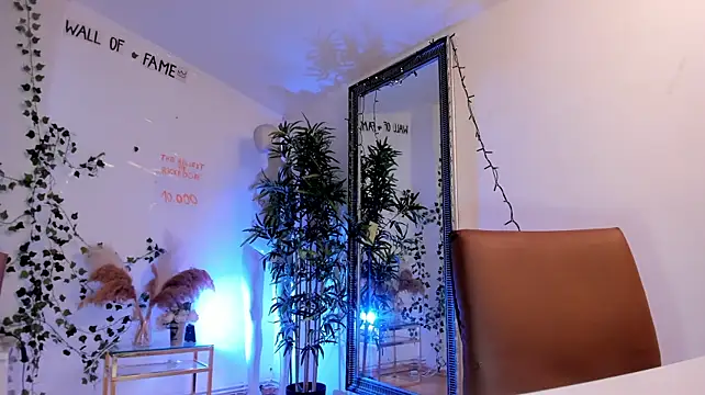 mira0_0