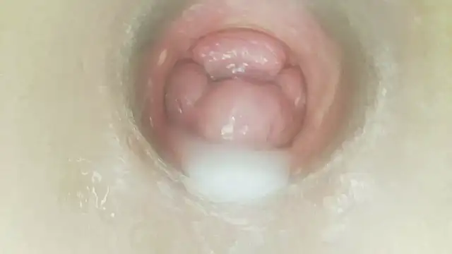 karol_stom