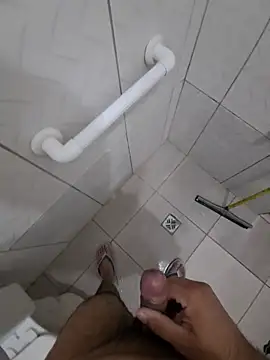 Novinhoamacoroas1002