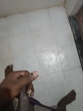 Mrveda66