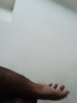 telugu_bull_hyd28