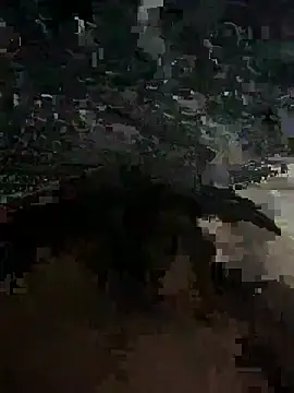 your_boy231 webcam