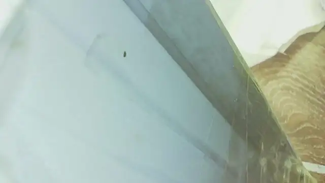 karol_stom