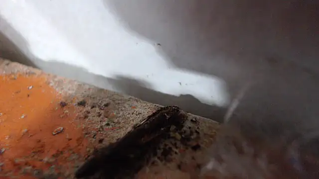alexam_gal@xh live cam preview