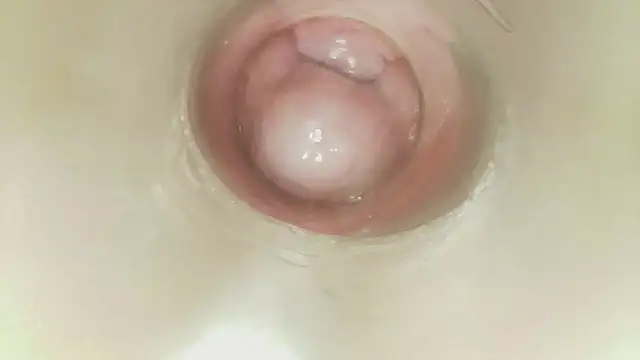 karol_stom