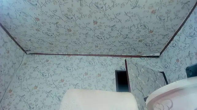 SEXYBABYGIRLTS live cam preview