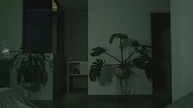 grey___27