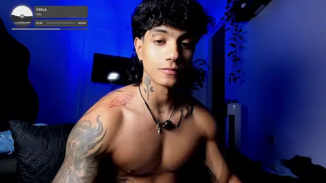 aress_damon
