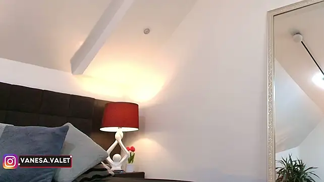 VanesaValet