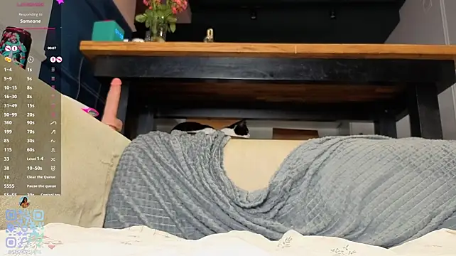 SweetSakuraJane