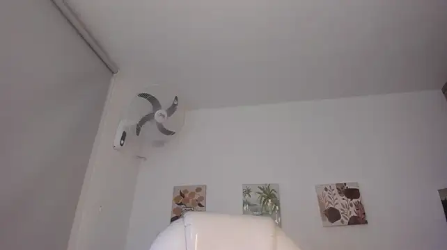 Walton_abieca_ webcam