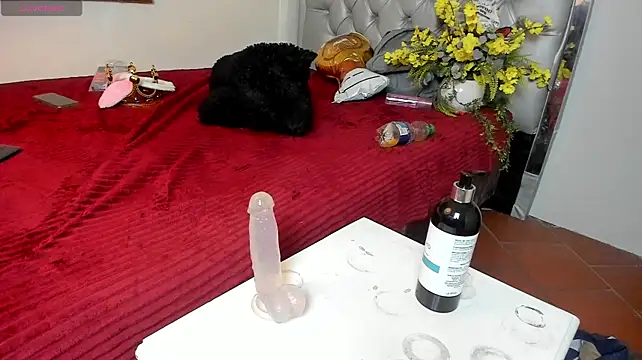 fem_danny7 live cam on StripChat