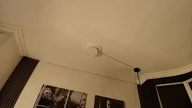 FalconTeam89 live cam preview
