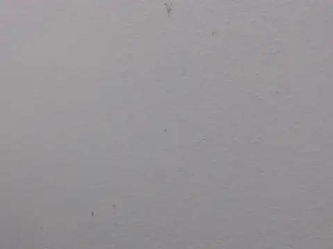 Adriana_0312 webcam